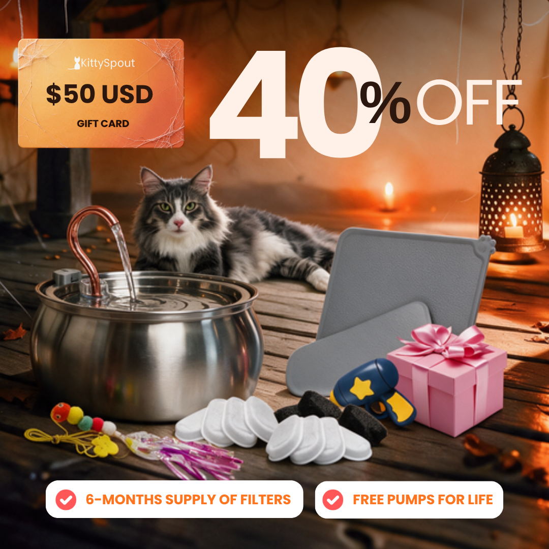 KittySpout Value Bundle