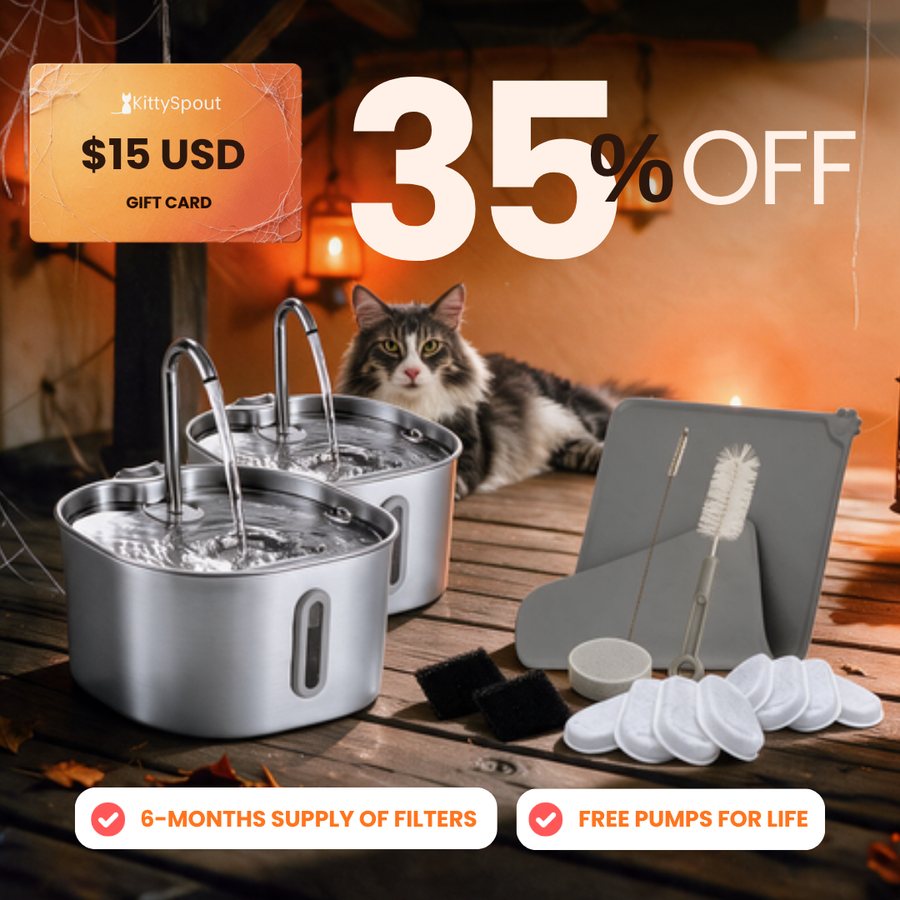 Big Cat Family Bundle