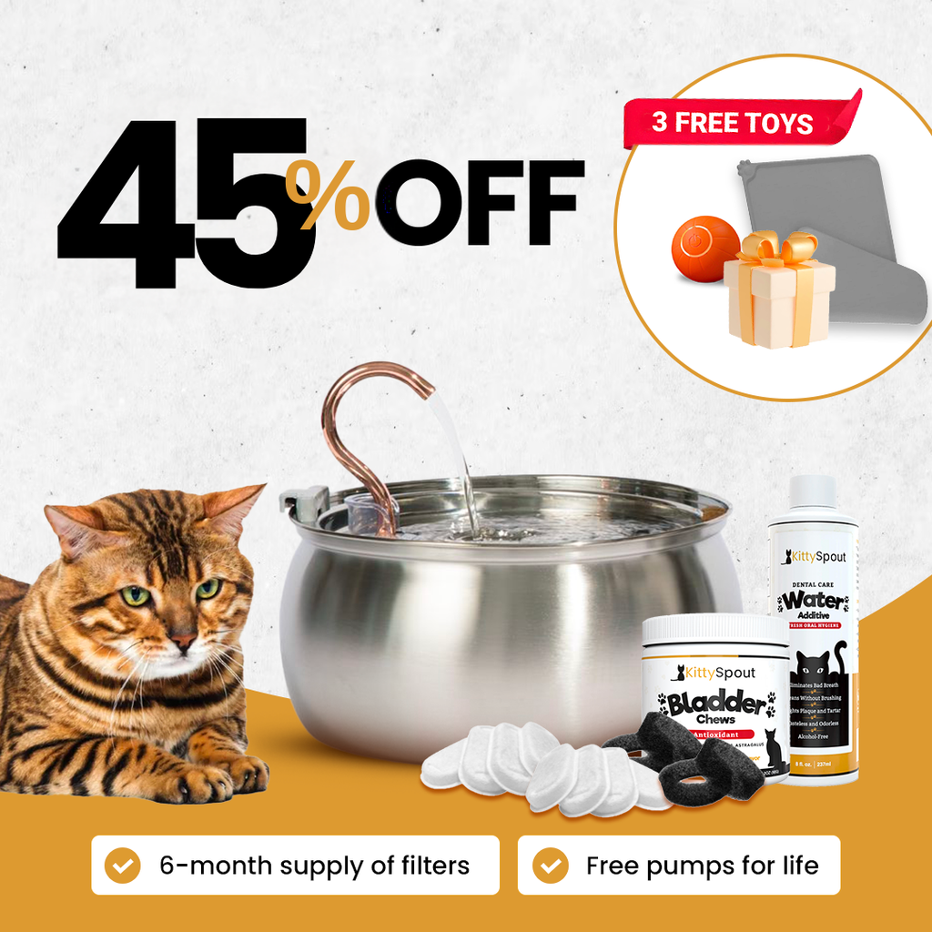 Hydration & Health Bundle