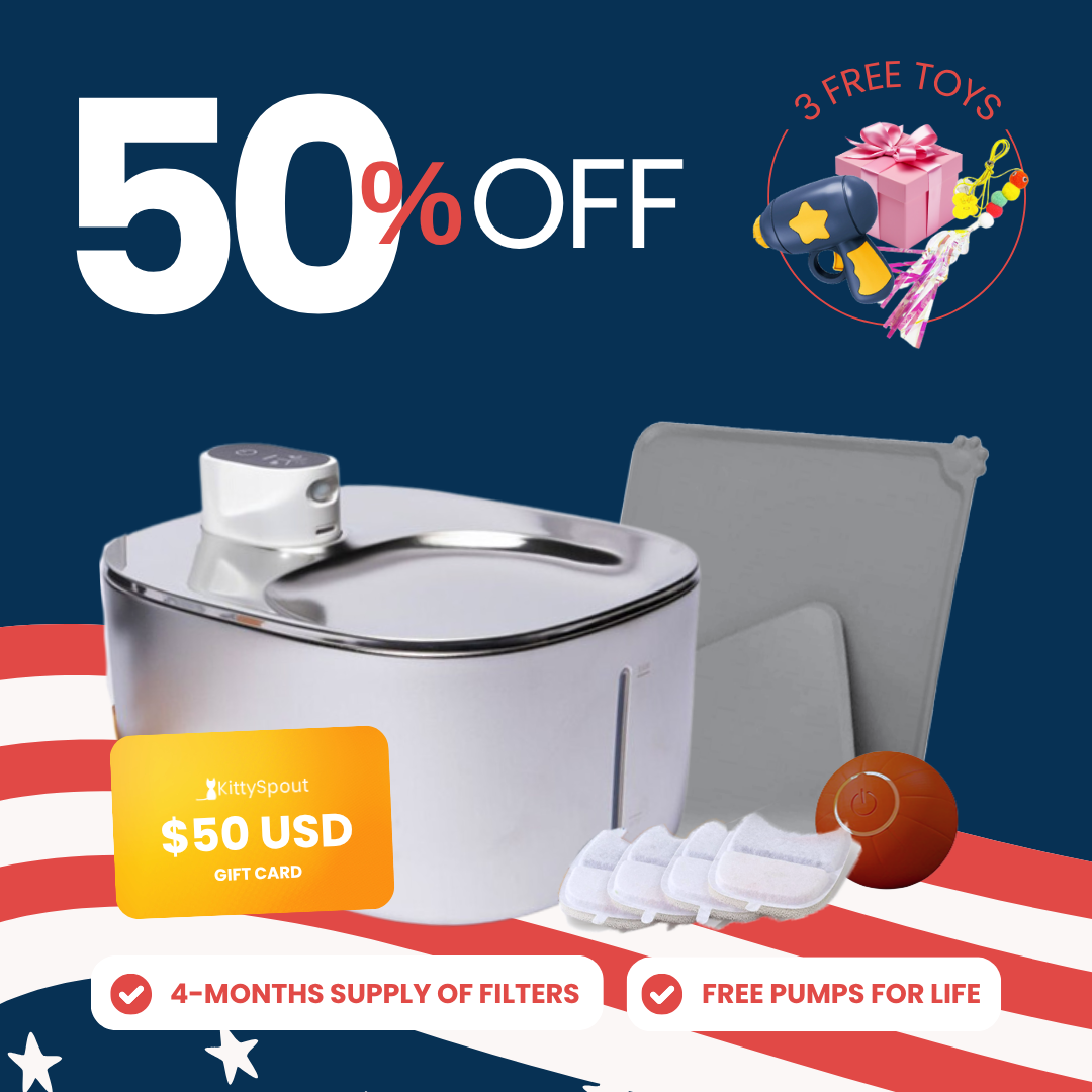 Wireless Hydration & Playtime Value Bundle