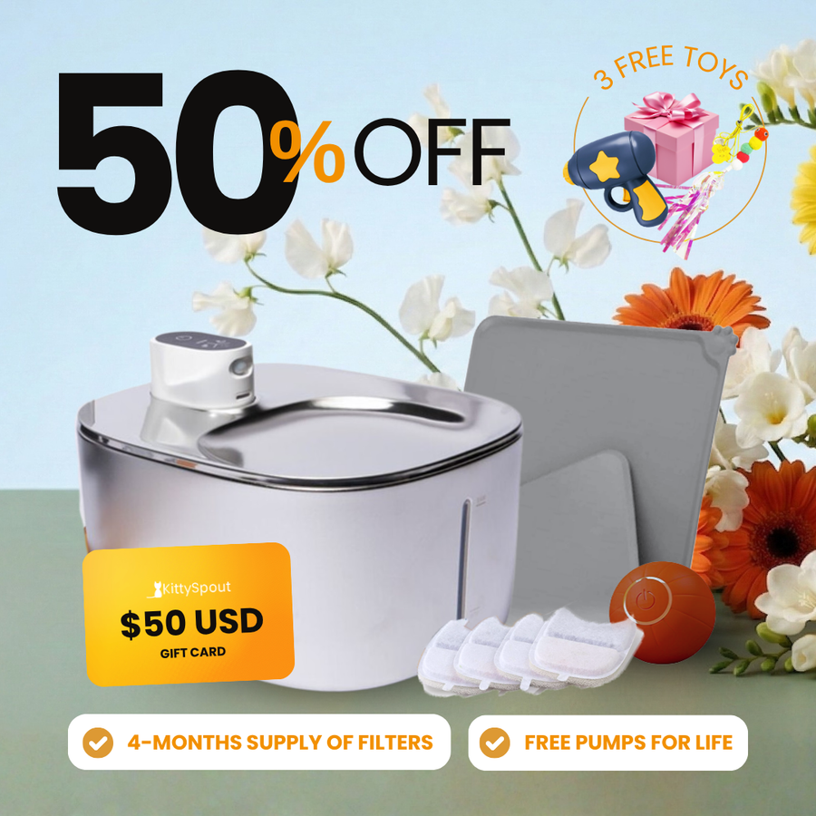 Wireless Hydration & Playtime Value Bundle