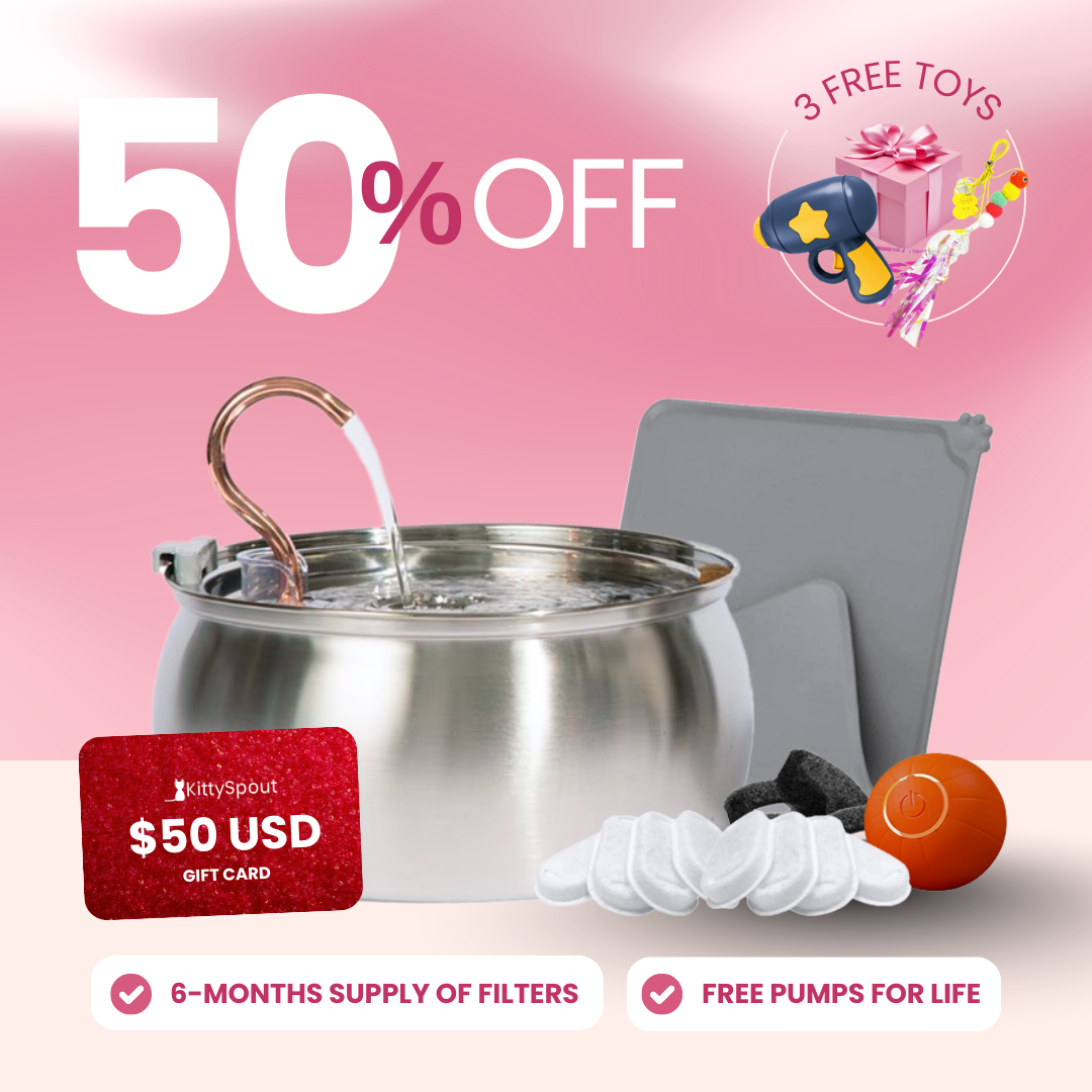 Hydration & Playtime Value Bundle