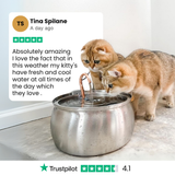 Il KittySpout™ thumbnail