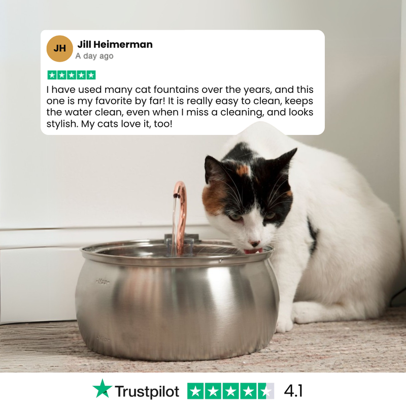 Il KittySpout™