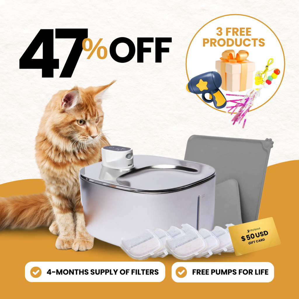 Wireless KittySpout Value Bundle