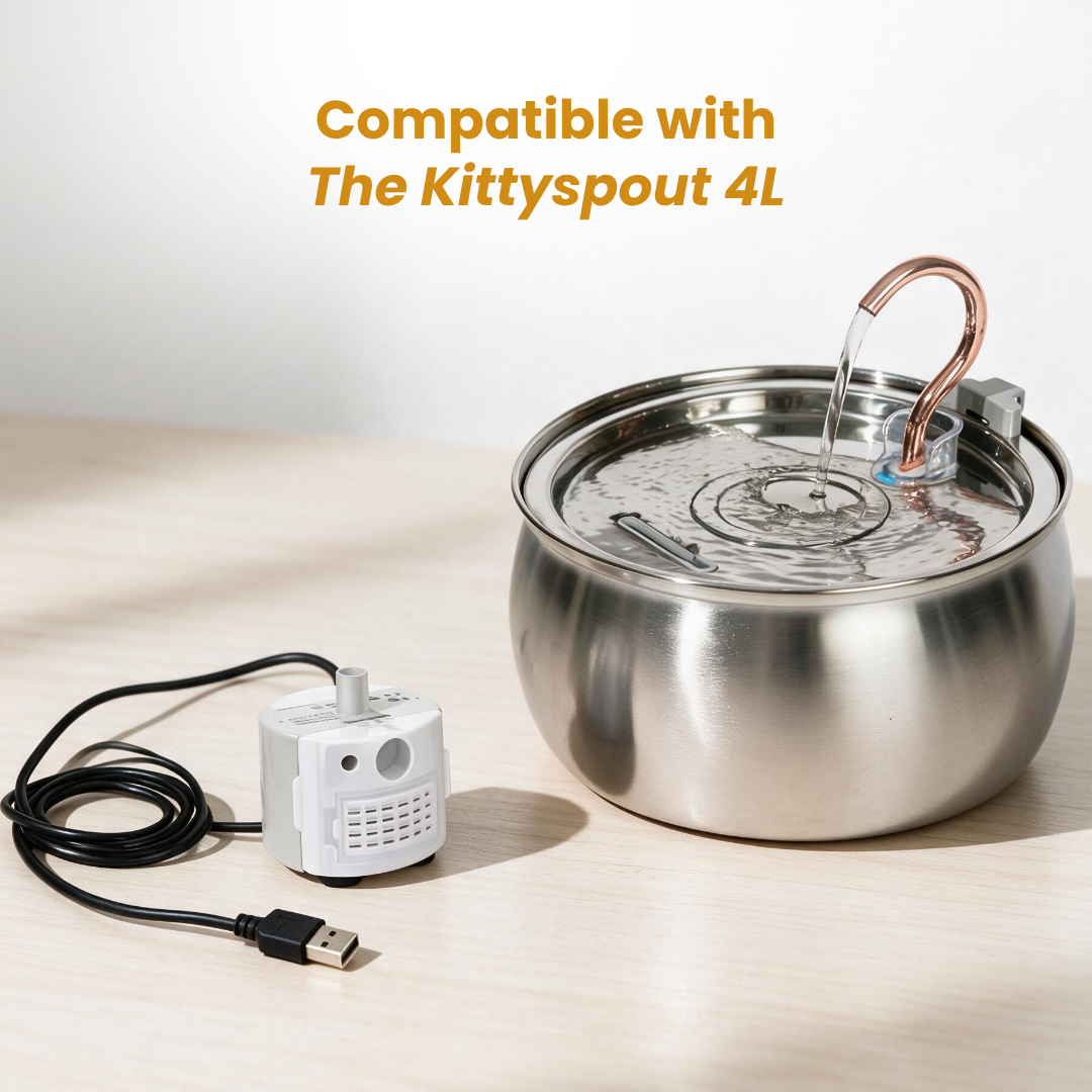 kittyspout-water-pump