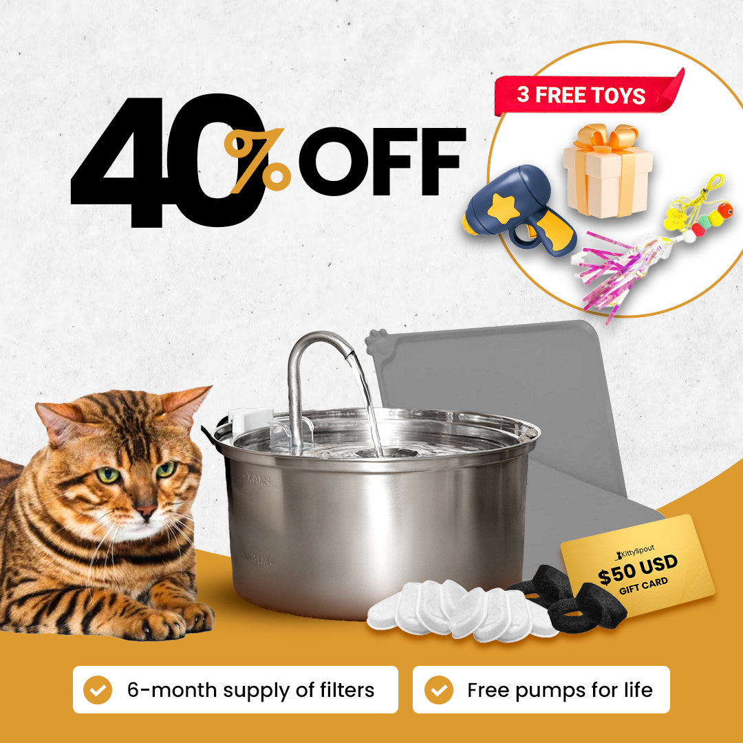 Stainless Steel Replacement Filters – KittySpout