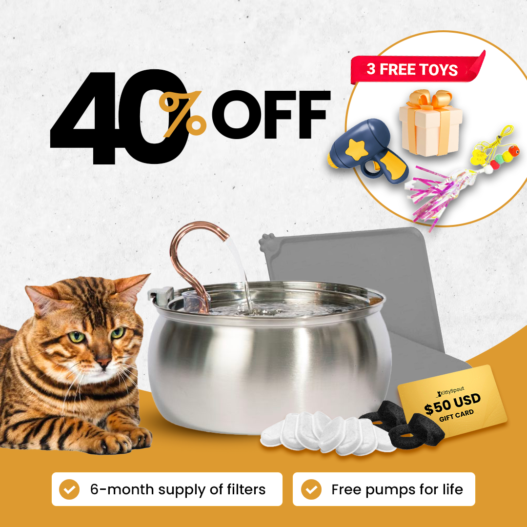 KittySpout Value Bundle (4L) - evergreen (restored original)