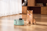 The KittySpout™ - Wireless Fountain 2.0 LP Test thumbnail