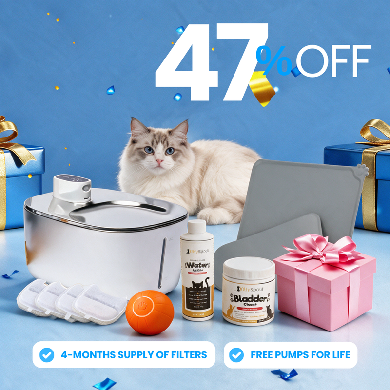Hydration & Health Bundle