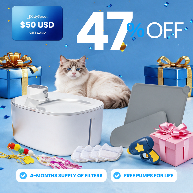 KittySpout Value Bundle