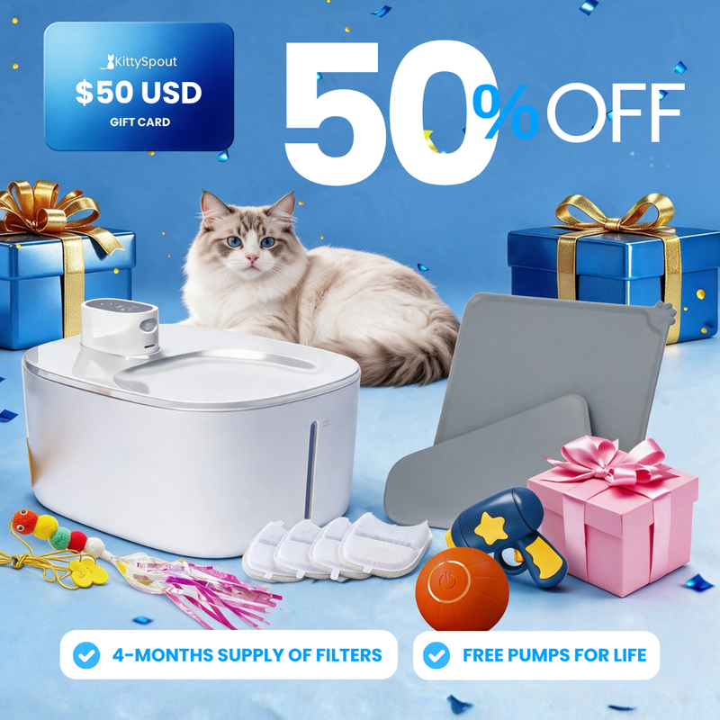 Hydration & Playtime Value Bundle