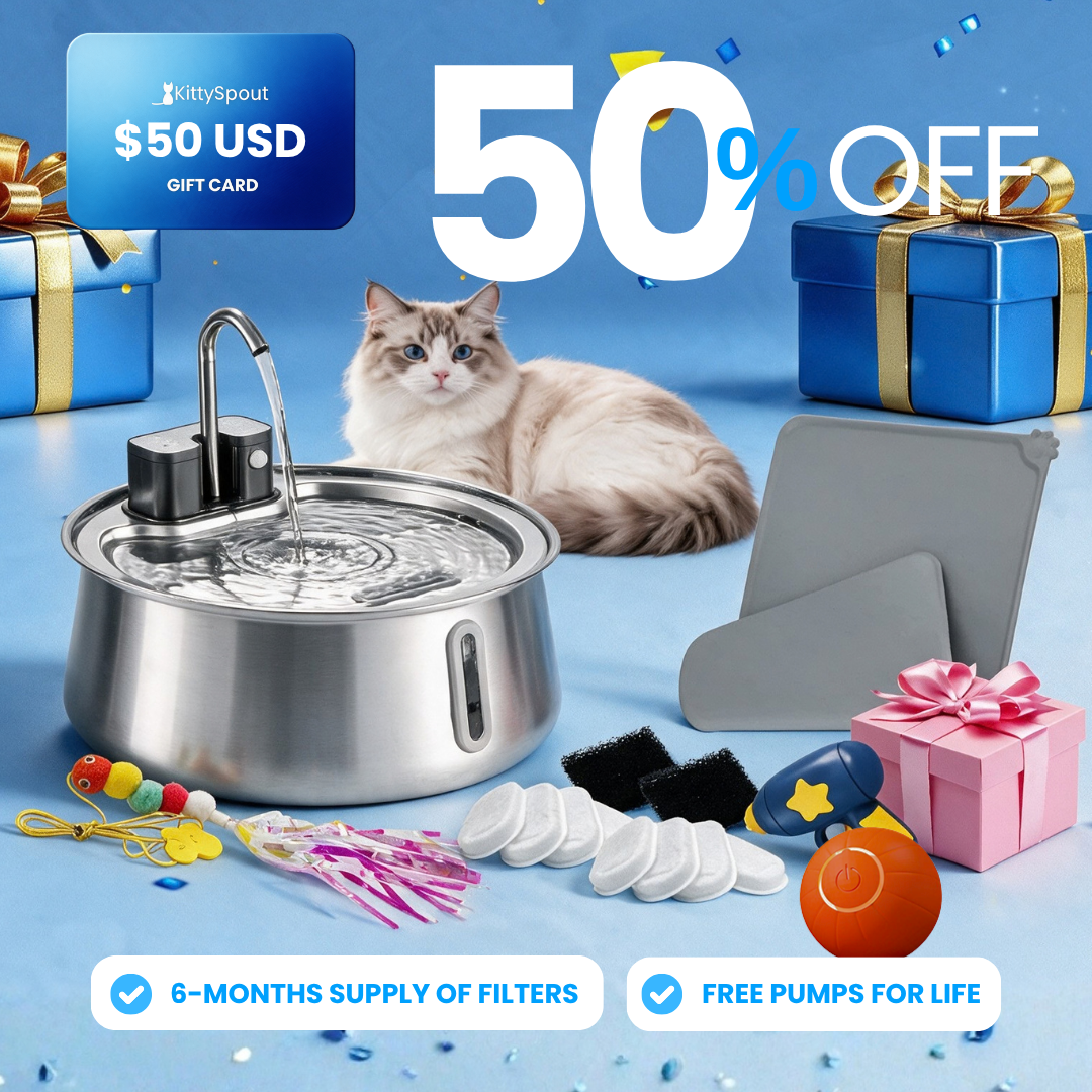 Hydration & Playtime Value Bundle