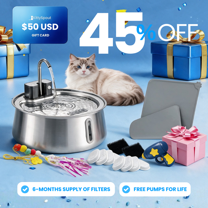 KittySpout Value Bundle