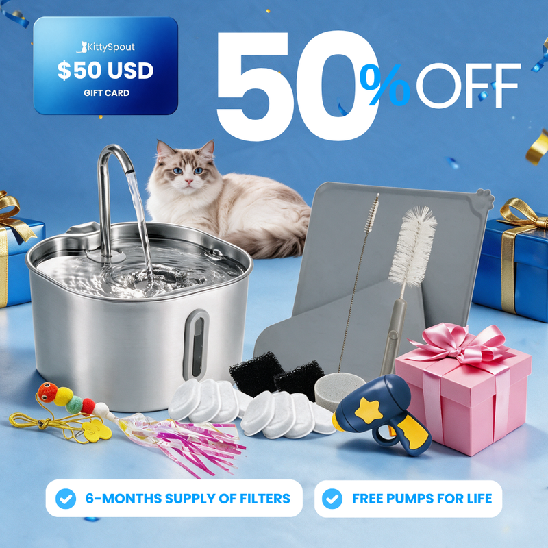 KittySpout Value Bundle