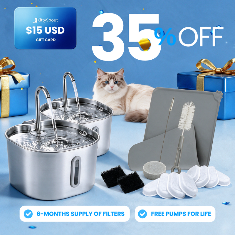 Big Cat Family Bundle