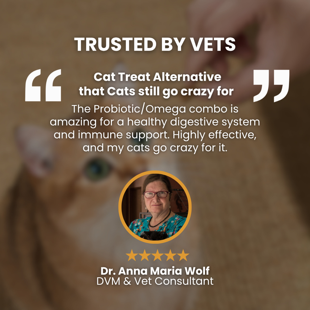 KittyTreats⁺ — Healthy Cat Treats