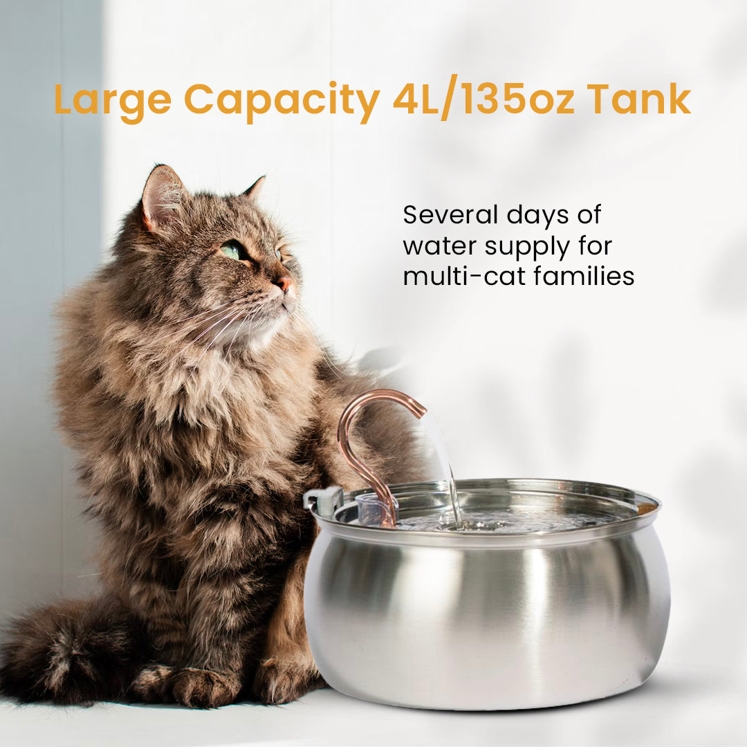 Like New Big Cat Family Bundle - 4L / 4L