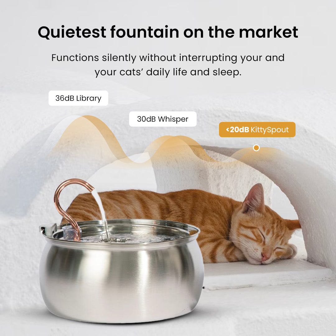 (Main Bundle Page) The KittySpout™ - Health & Happiness Cat Kit