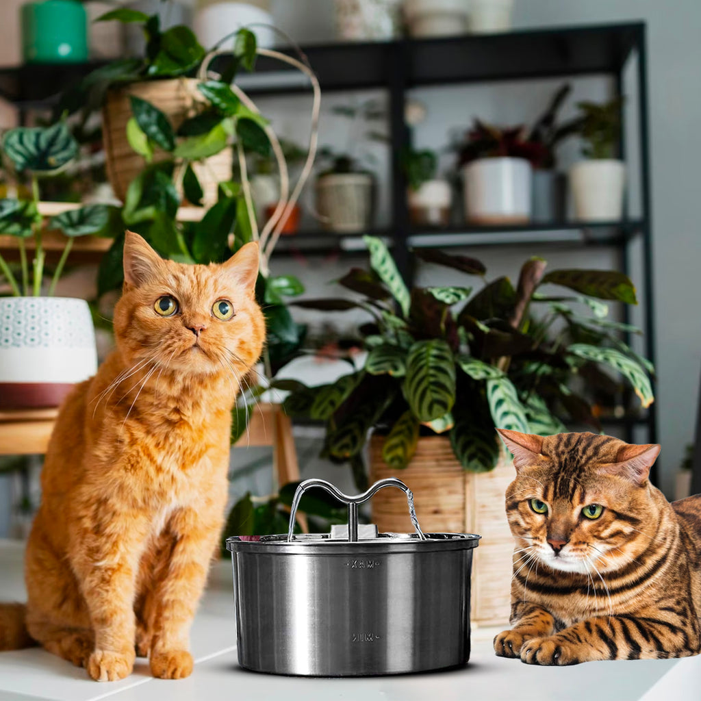 8x KittySpout™ Filtres - 8 mois d'approvisionnement