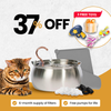 The Purrr-fect KittySpout Kit