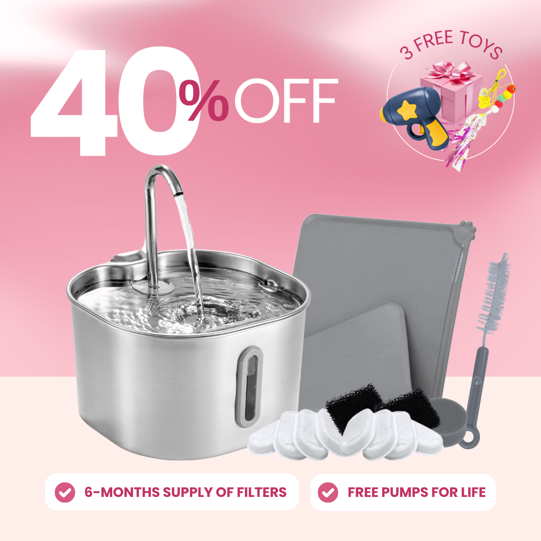 The KittySpout™ - 2.2L Purrrfect KittySpout Kit