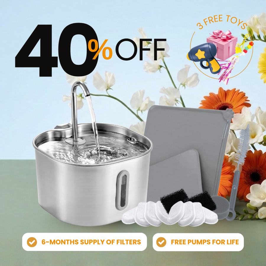 The KittySpout™ - 2.2L Purrrfect KittySpout Kit