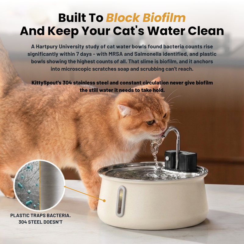 El KittySpout™ - Fuente inalámbrica 2.0