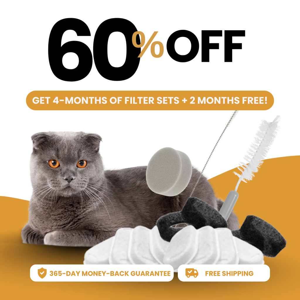 8x KittySpout™ Filter – 8 Monate Vorrat
