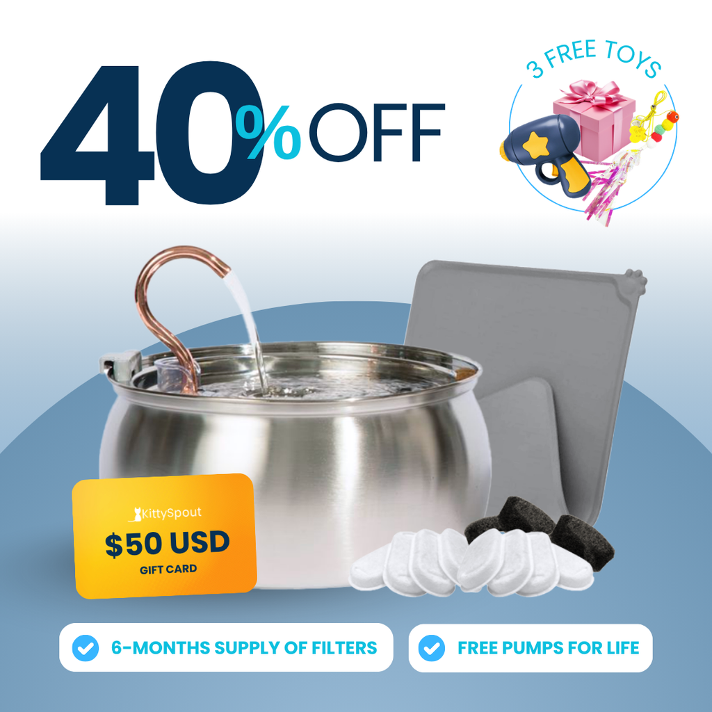 KittySpout Value Bundle