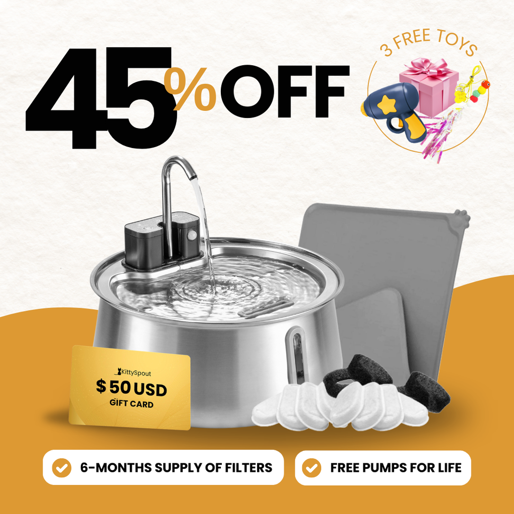 Wireless 2.0 KittySpout Value Bundle