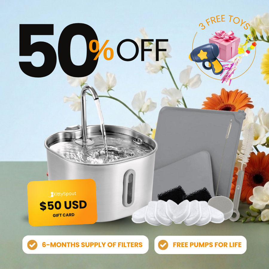 The KittySpout™ - 2.2L Value Bundle