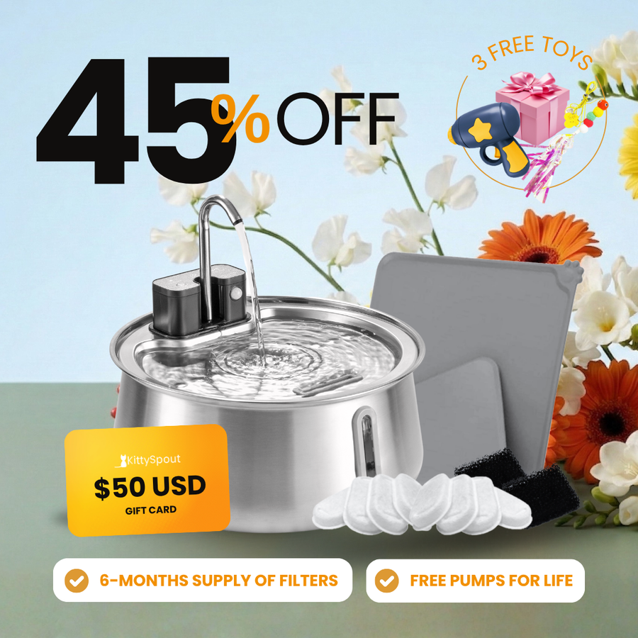Wireless 2.0 KittySpout Value Bundle