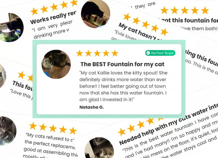 Cat fountain product image
