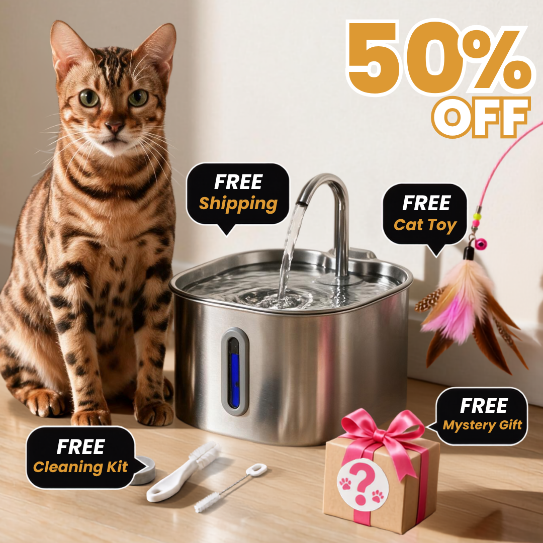 The KittySpout 2.2L fountain with its free gifts