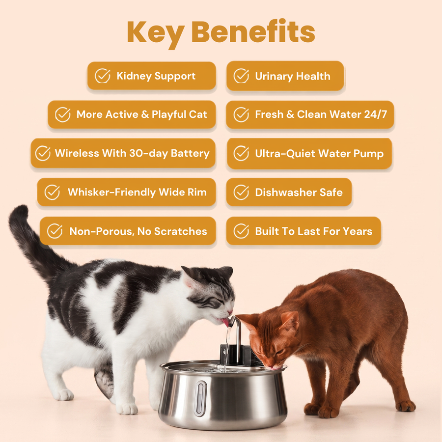 KittySpout Wireless Fountain 2.0 key benefits