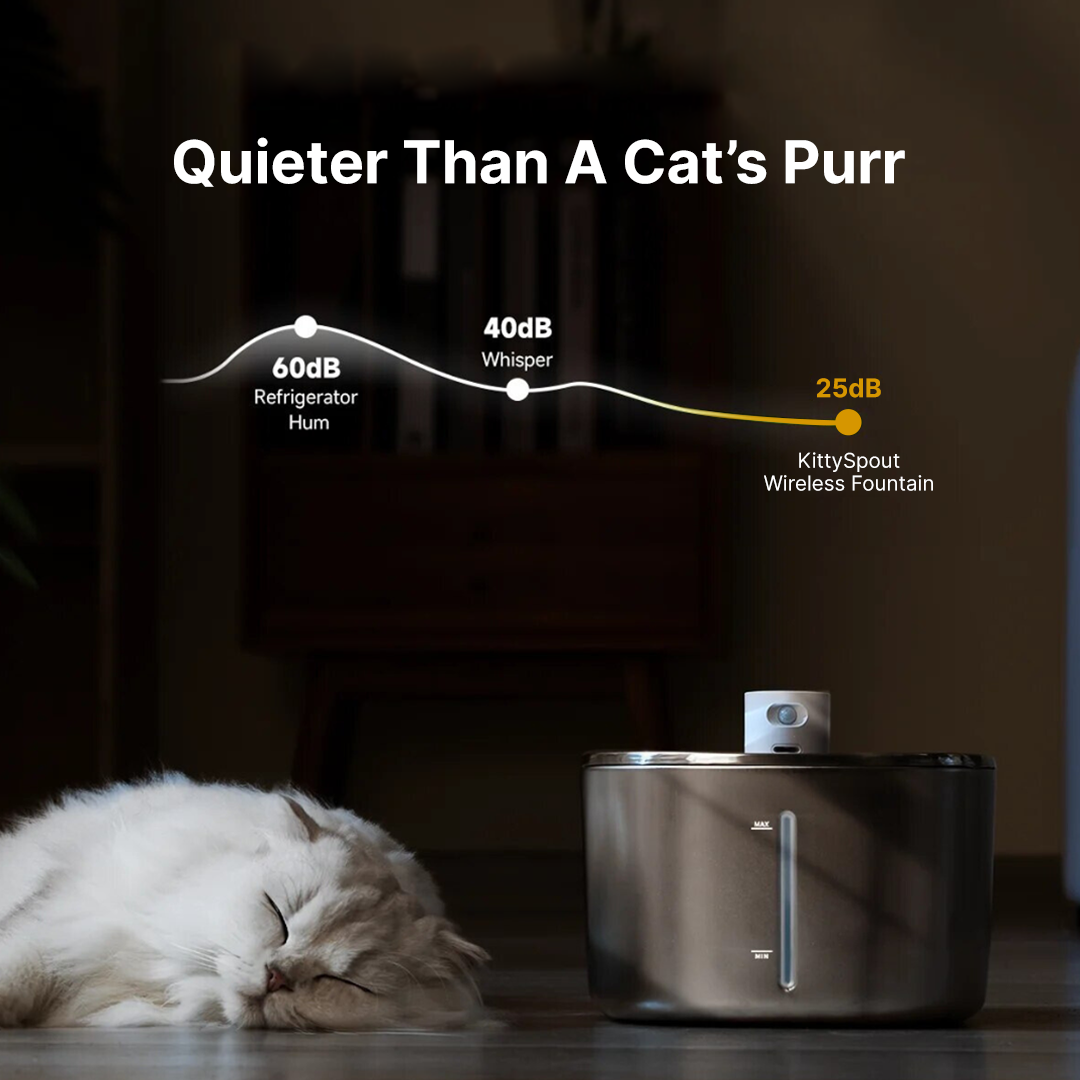 Refurbished The KittySpout - Wireless Fountain - 2 Month: Wireless KittySpout + 4 filter sets + free gift