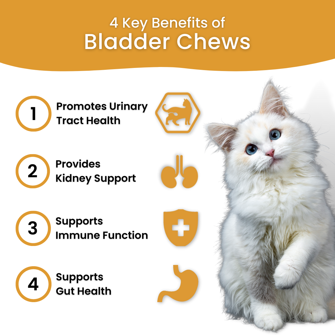 Bladder & Kidney Support Chews