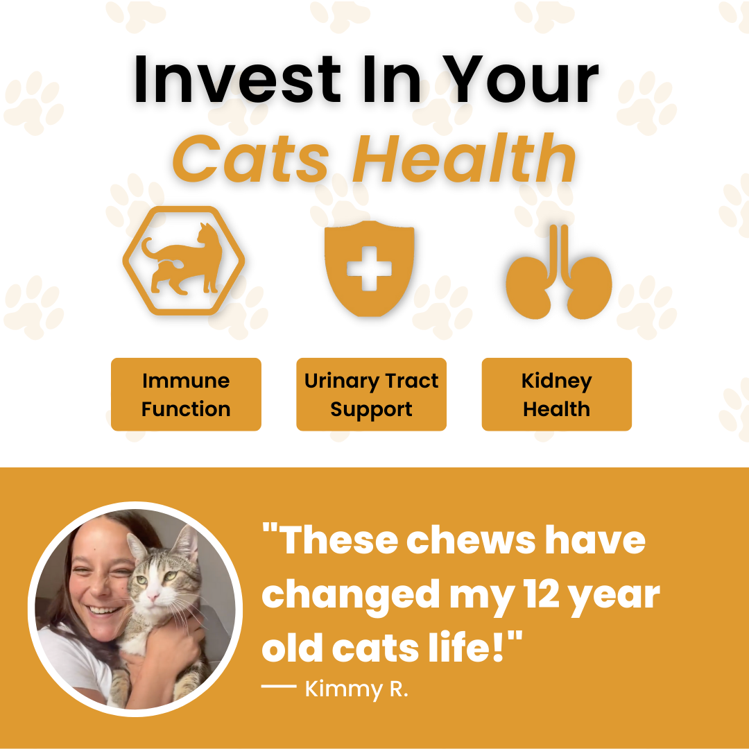 Bladder & Kidney Support Chews
