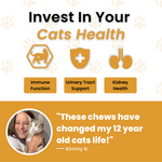 Bladder & Kidney Support Chews