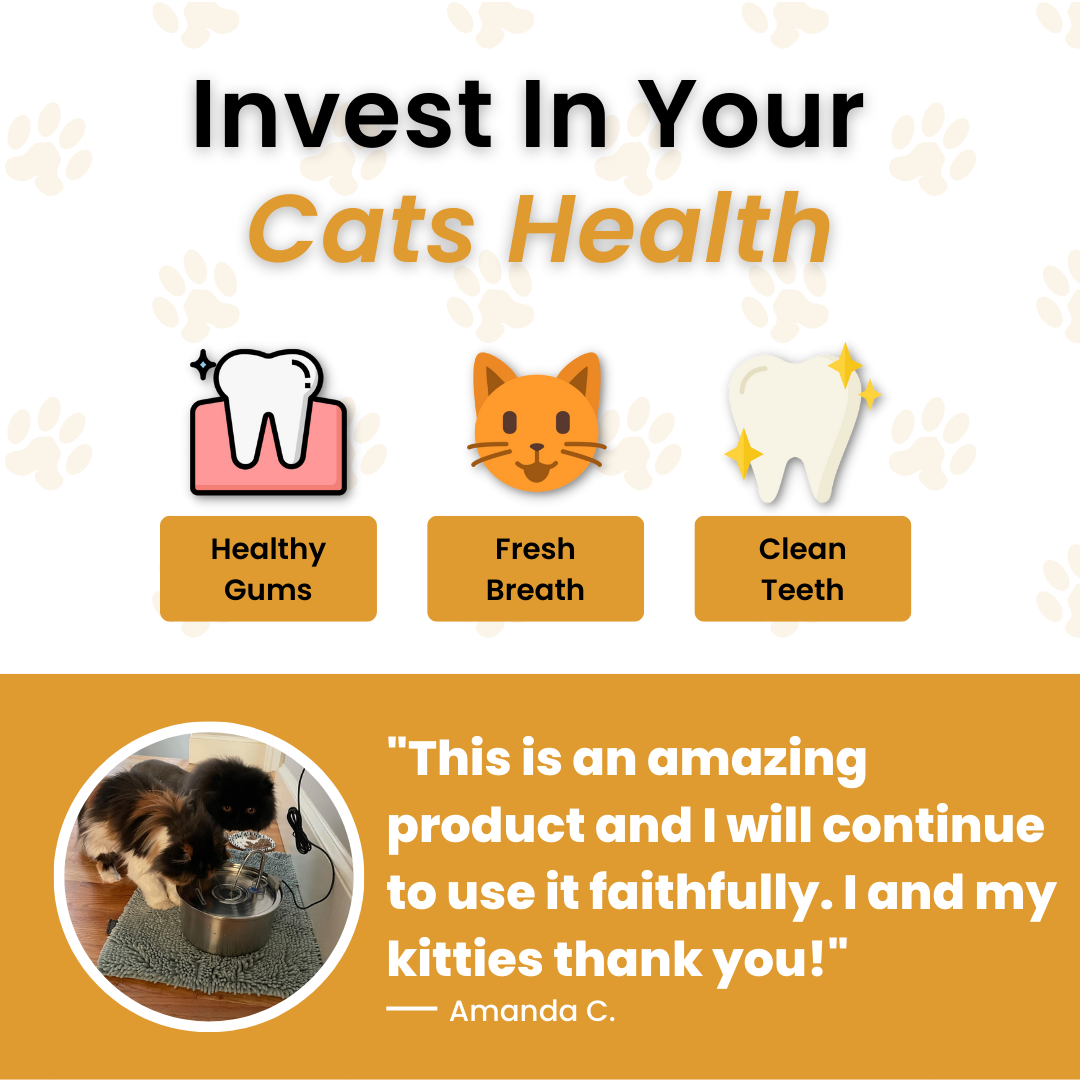 Cat Dental Formula (gift)